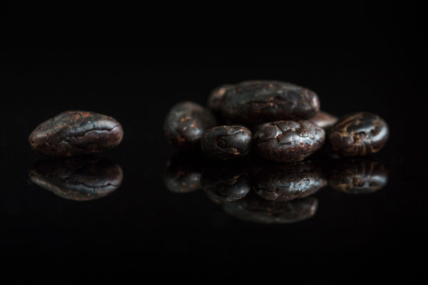 fèves de cacao torréfiées Maison BARTHÈS